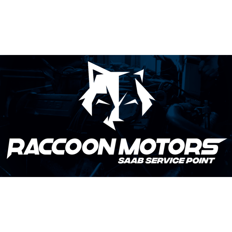 Raccoon Motors
